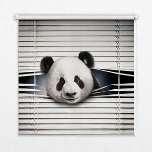 TULUP VNÚTORNÁ roleta - okenná roleta - roleta - 100x180 cm - Panda vyobraziť