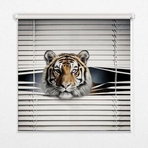 TULUP VNÚTORNÁ roleta - okenná roleta - roleta - 120x140 cm - Tiger vyobraziť