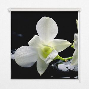TULUP VNÚTORNÁ roleta - okenná roleta - roleta - 140x140 cm - Orchidey vyobraziť