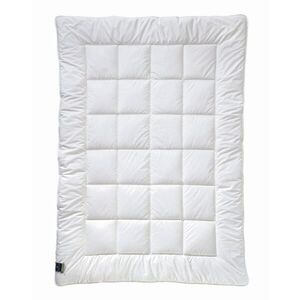 Billerbeck ZIMNÁ PRIKRÝVKA, 135/200 cm, polyester vyobraziť