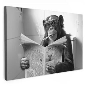 MuchoWow OBRAZ NA PLÁTNE Opica - WC - Noviny - Čiernobiele - Humor 60x40 cm vyobraziť