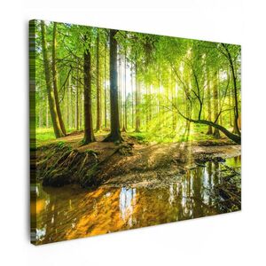 MuchoWow OBRAZ NA PLÁTNE Les - Krajina - Voda - Stromy - Slnko - Zelená - Príroda 40x30 cm vyobraziť