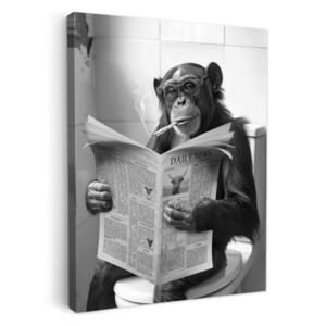 MuchoWow OBRAZ NA PLÁTNE Opica - WC - Noviny - Čiernobiele - Humor 50x70 cm vyobraziť