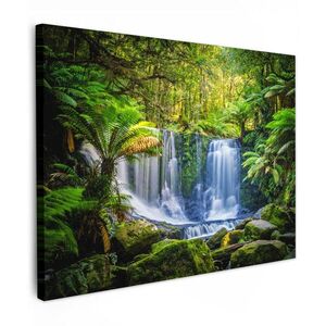 MuchoWow OBRAZ NA PLÁTNE Džungľa - Vodopád - Austrália - Rastliny - Príroda 40x30 cm vyobraziť