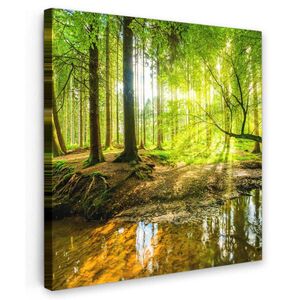 MuchoWow OBRAZ NA PLÁTNE Les - Krajina - Voda - Stromy - Slnko - Zelená - Príroda 20x20 cm vyobraziť