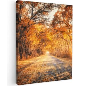 MuchoWow OBRAZ NA PLÁTNE Les - Jeseň - Stromy - Lesná cesta - Príroda 60x80 cm vyobraziť