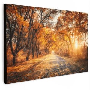 MuchoWow OBRAZ NA PLÁTNE Les - Jeseň - Stromy - Lesná cesta - Príroda 90x60 cm vyobraziť