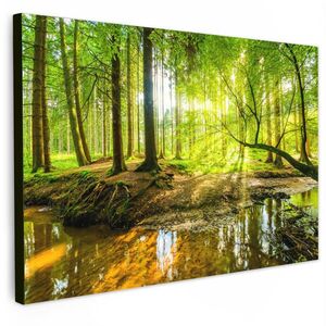 MuchoWow OBRAZ NA PLÁTNE Les - Krajina - Voda - Stromy - Slnko - Zelená - Príroda 60x40 cm vyobraziť