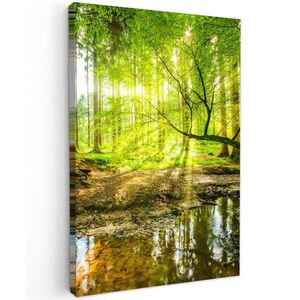 MuchoWow OBRAZ NA PLÁTNE Les - Krajina - Voda - Stromy - Slnko - Zelená - Príroda 40x60 cm vyobraziť