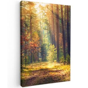 MuchoWow OBRAZ NA PLÁTNE Les - jeseň - stromy 60x90 cm vyobraziť