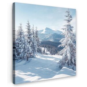 MuchoWow OBRAZ NA PLÁTNE Zimná krajina - Príroda - Hory - Stromy - Sneh 20x20 cm vyobraziť