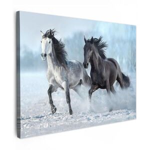 MuchoWow OBRAZ NA PLÁTNE Kone - Zima - Zvieratá - Príroda - Sneh 40x30 cm vyobraziť