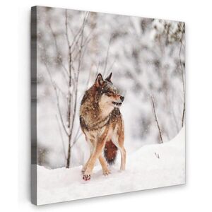 MuchoWow OBRAZ NA PLÁTNE Vlk - Zima - Sneh - Príroda - Zvieratá 20x20 cm vyobraziť