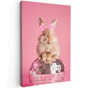 MuchoWow OBRAZ NA PLÁTNE Luk - Discoball - Králik 80x120 cm vyobraziť