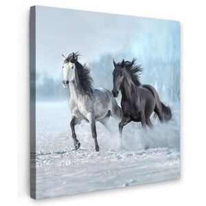 MuchoWow OBRAZ NA PLÁTNE Kone - Zima - Zvieratá - Príroda - Sneh 20x20 cm vyobraziť