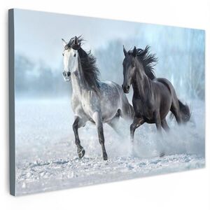 MuchoWow OBRAZ NA PLÁTNE Kone - Zima - Zvieratá - Príroda - Sneh 30x20 cm vyobraziť