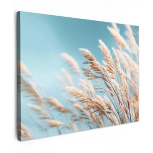 MuchoWow OBRAZ NA PLÁTNE Okrasná tráva - Vietor - svetlohnedá 80x60 cm vyobraziť