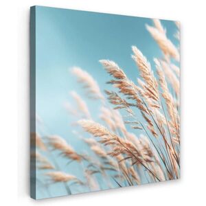 MuchoWow OBRAZ NA PLÁTNE Okrasná tráva - Vietor - svetlohnedá 20x20 cm vyobraziť