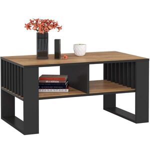 RAUMHIRSCH FURNITURE KONZOLOVÝ STOLÍK Dub Craft, čierna 45/92/53 vyobraziť
