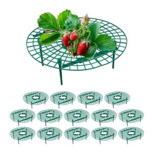 Relaxdays OPORA Zelená 15-dielna-sada na jahody plast 10x30 cm vyobraziť