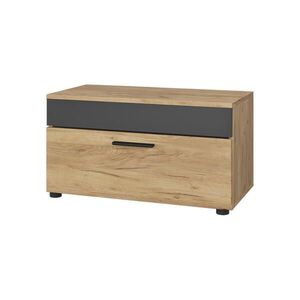 Vicco SKRIŇA V OBÝVACEJ IZBE Berno Goldkraft dub/antracit 70.8 x 38.9 cm s výklopnými dverami vyobraziť