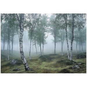 Wallarena 3D efekt fototapety: Les Brezy Obývačka 350x250 vyobraziť