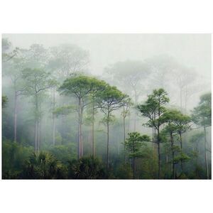 Wallarena 3D efekt fototapety: Les v hmle 200x140 vyobraziť
