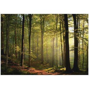 Wallarena FOTOTAPETA les stromy zelená 250x175 cm vyobraziť