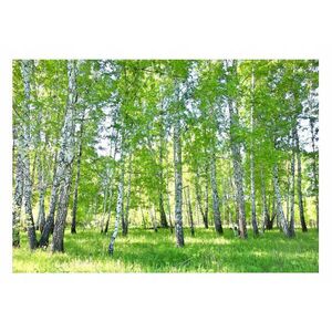 Wallarena FOTOTAPETA les stromy vliesová tapeta 200x140 vyobraziť