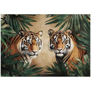 Wallarena FOTOTAPETA Tiger Zvieratá Hnedá 312x219 cm vyobraziť