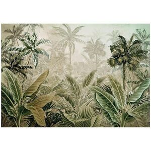 Wallarena FOTOTAPETA Jungle Forest Vliesová tapeta 350x250 vyobraziť