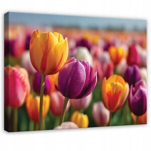 Wallarena TLAČ NA PLÁTNE Kvety Tulipány Farebné 120x80 cm vyobraziť