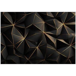Wallarena ABSTRAKTNÁ geometrická fototapeta čierna 200x140 cm vyobraziť