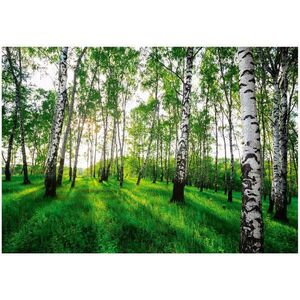 Wallarena FOTOTAPETA les stromy vliesová tapeta 300x210 vyobraziť