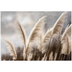 Wallarena FOTOTAPETA Pampas tráva prírodná béžová 312x219 cm vyobraziť