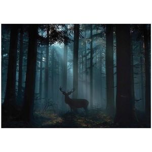 Wallarena FOTOTAPETA lesná jeleň zelená 250x175 cm vyobraziť