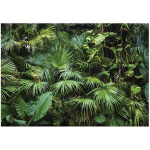 Wallarena FOTOTAPETA Jungle Forest Vliesová tapeta 350x250 vyobraziť