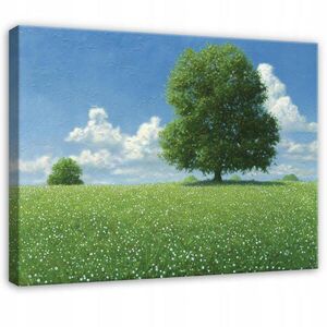 Wallarena TLAČ NA PLÁTNE Lúka Strom Zelená 120x80 cm vyobraziť