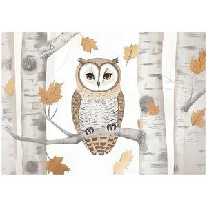 Wallarena TAPETA do detskej izby zvieratá sova 250x175 vyobraziť