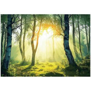 Wallarena 3D efekt fototapety s lesom a prírodou do obývačky 300x210 vyobraziť