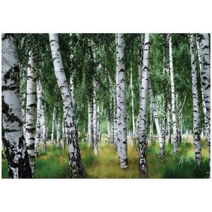 Wallarena FOTOTAPETA: Les Brezy Zelená 300x210 cm vyobraziť