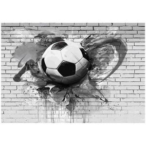 Wallarena 3D futbalová fototapeta sivá 200x140 cm vyobraziť