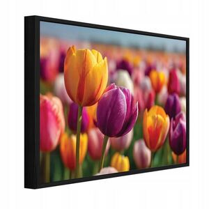 Wallarena ZARÁMOVANÉ obrazy kvetov tulipánov farebné 120x80 cm vyobraziť