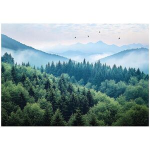 Wallarena 3D efekt fototapety: Les v hmle hory 350x250 vyobraziť