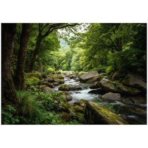Wallarena FOTOTAPETA les príroda zelená 250x175 cm vyobraziť