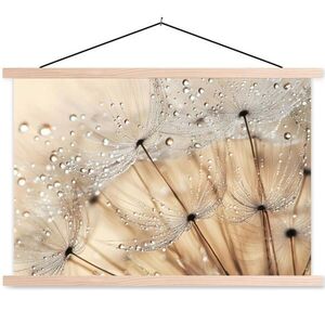 MuchoWow PLAGÁT S MAGNETICKÝMI LIŠTAMI Púpava - Abstraktné - Príroda - Béžová 90x60 cm vyobraziť