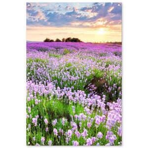 OnlyWow ZÁHRADNÝ PLAGÁT Kvety - Levanduľa - Fialová - Obloha - Západ slnka - Lúka - Príroda 80x120 cm vyobraziť
