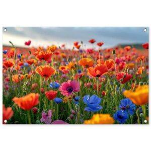 OnlyWow ZÁHRADNÝ PLAGÁT Kvety - maky - farebné - príroda 90x60 cm vyobraziť