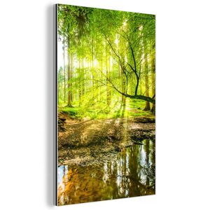 MuchoWow KOVOVÝ OBRAZ Les - Krajina - Voda - Stromy - Slnko - Zelená - Príroda 60x90 cm vyobraziť