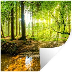 MuchoWow NÁLEPKA NA STENU Les - Krajina - Voda - Stromy - Slnko - Zelená - Príroda 50x50 cm vyobraziť